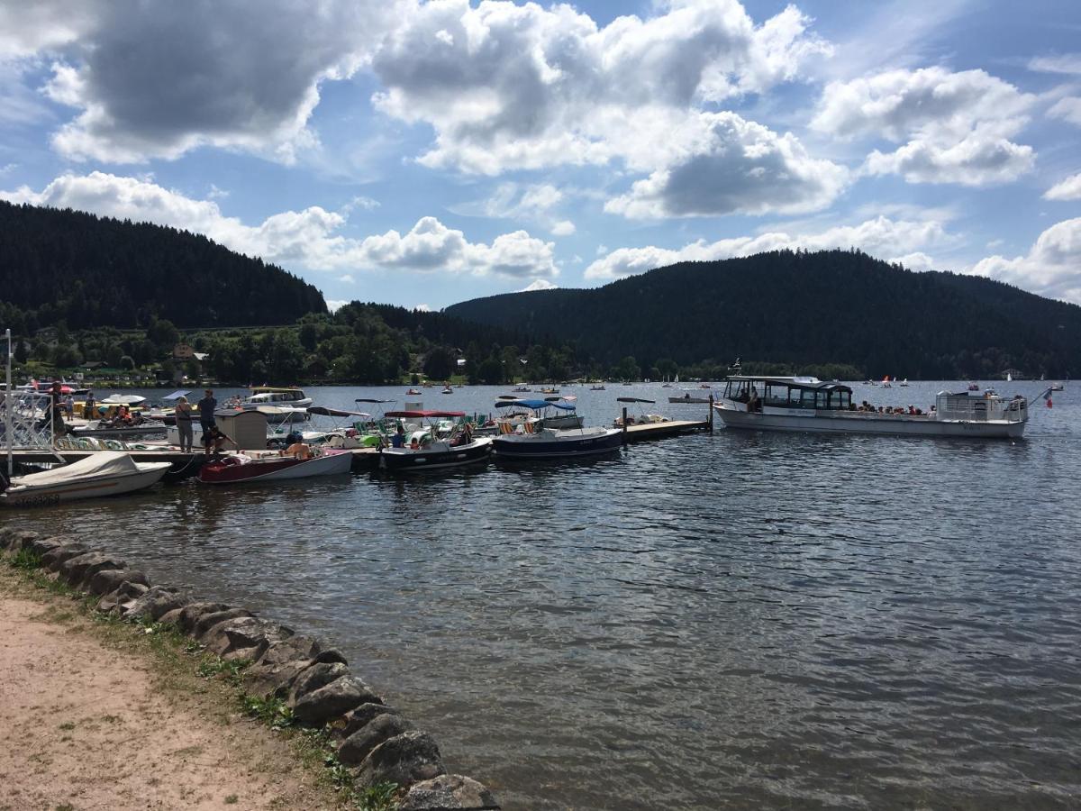 Gite Les Dryades Gerardmer Exterior photo