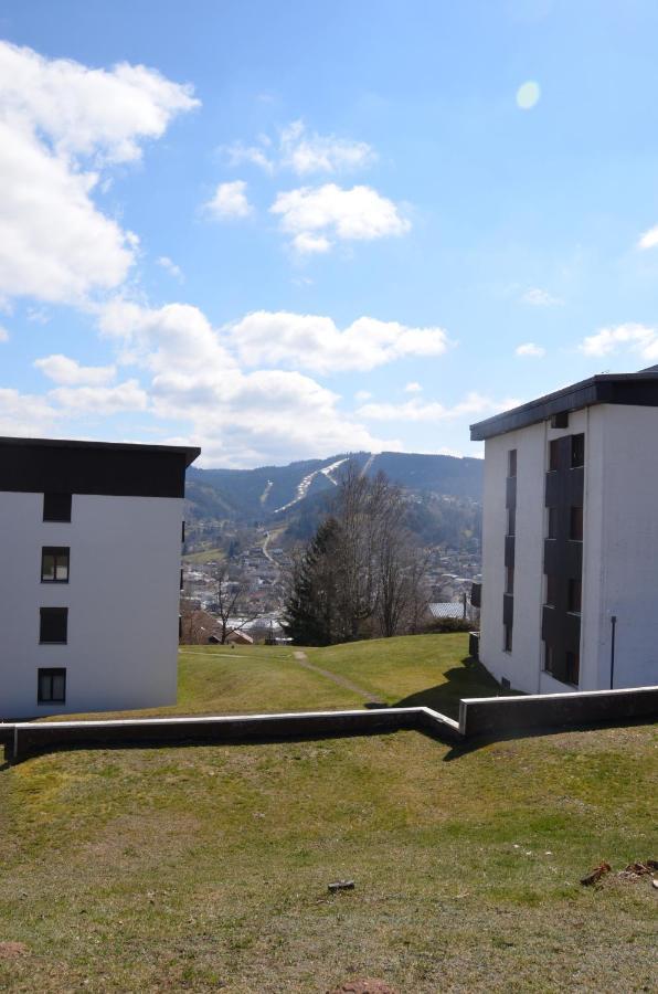 Gite Les Dryades Gerardmer Exterior photo