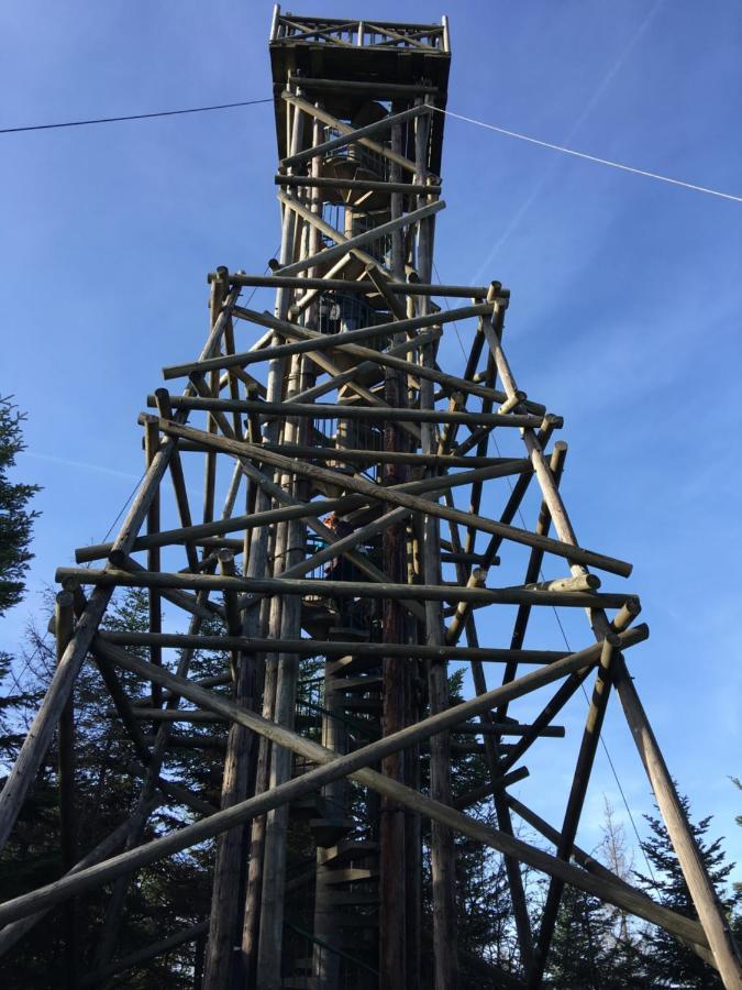 Gite Les Dryades Gerardmer Exterior photo