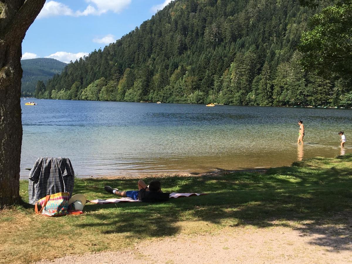 Gite Les Dryades Gerardmer Exterior photo