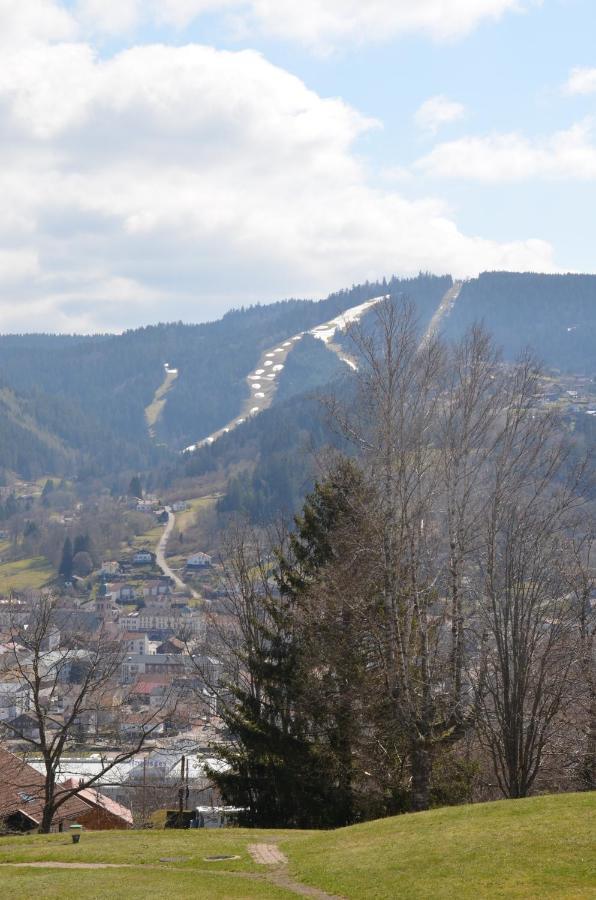Gite Les Dryades Gerardmer Exterior photo