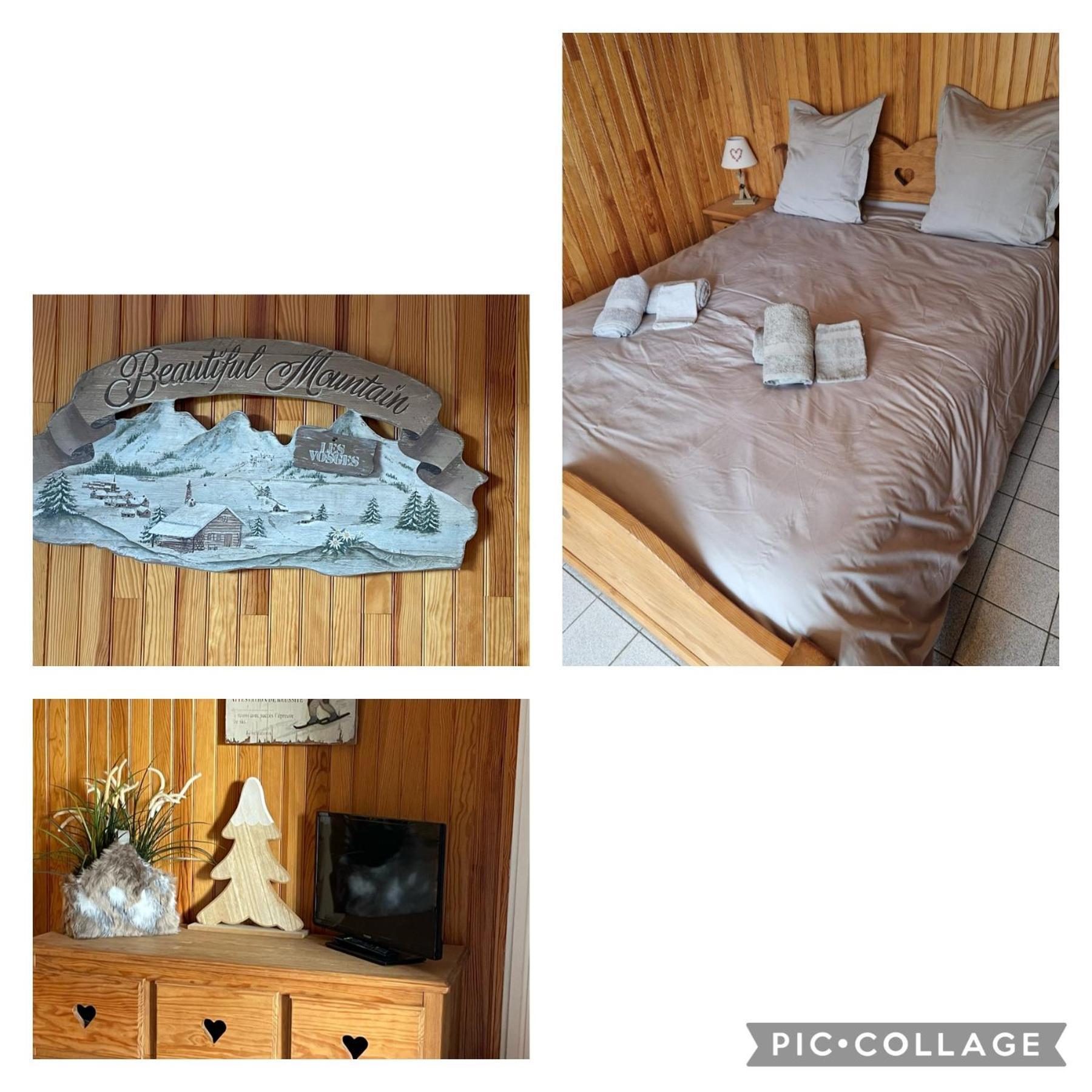 Gite Les Dryades Gerardmer Exterior photo